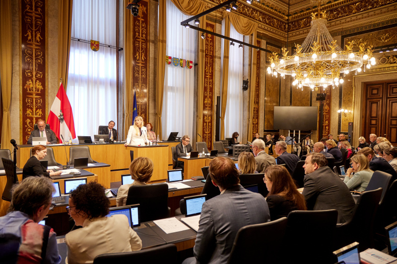 Am Rednerpult Bundesrätin Isabella Theuermann (FPÖ)