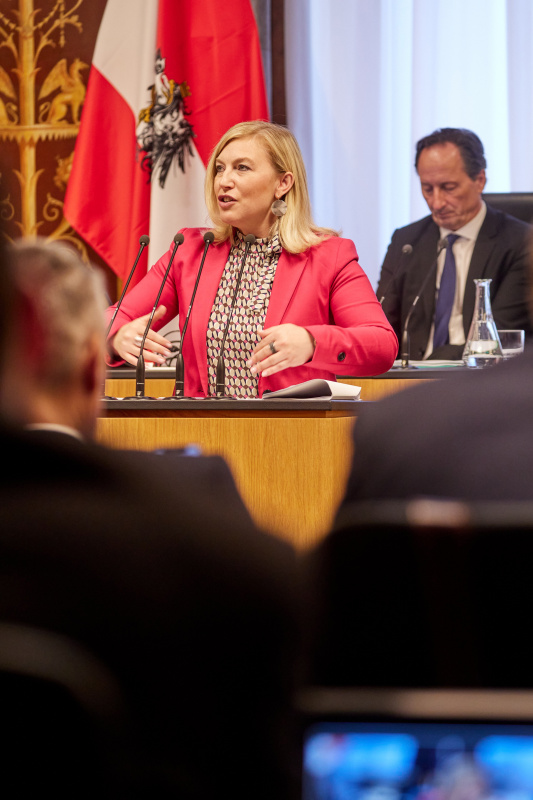 Am Rednerpult Bundesrätin Doris Hahn (SPÖ)