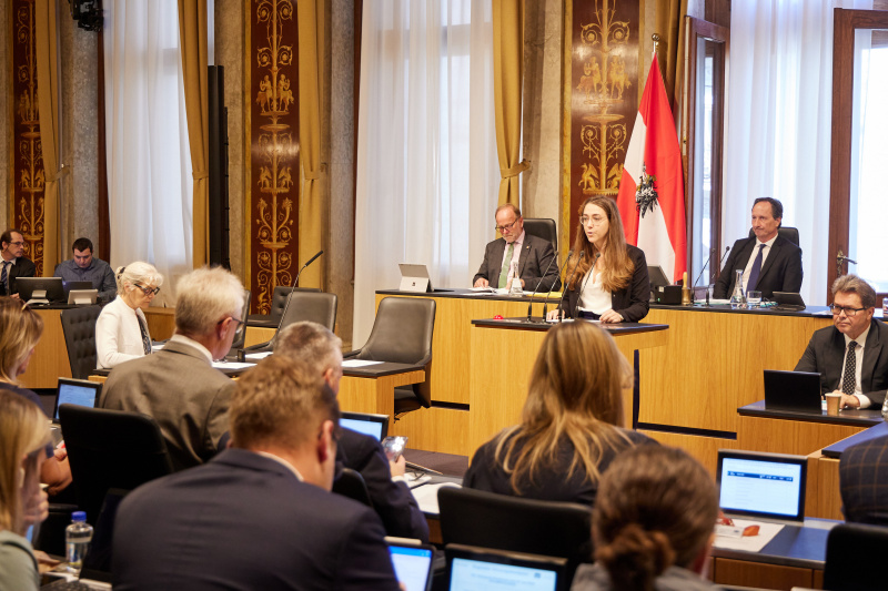 Am Rednerpult Bundesrätin Elisabeth Wolff (ÖVP)