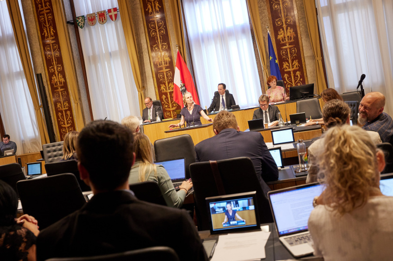 Am Rednerpult Bundesrätin Daniela Gruber-Pruner (SPÖ)