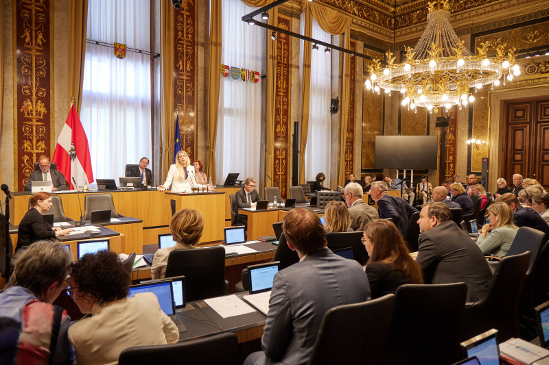 Am Rednerpult Bundesrätin Isabella Theuermann (FPÖ)