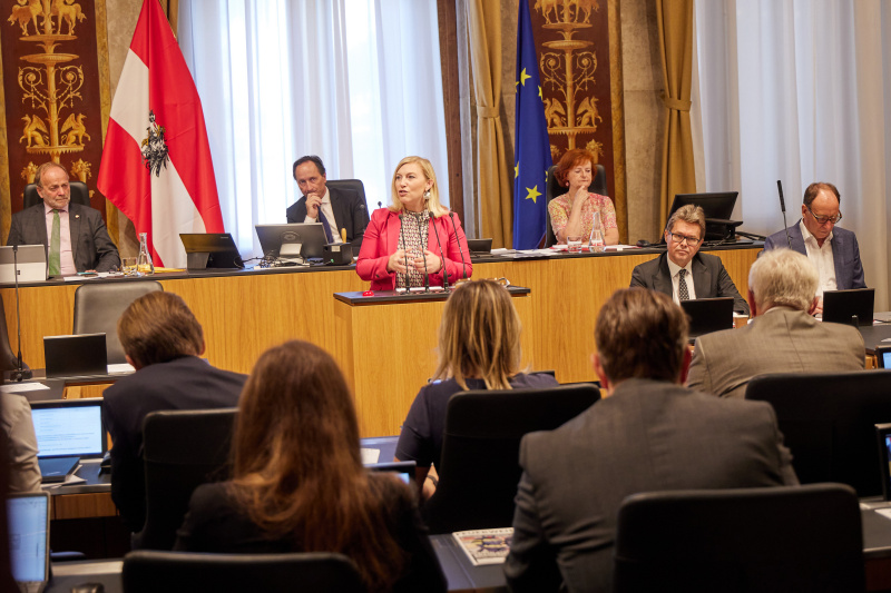 Am Rednerpult Bundesrätin Doris Hahn (SPÖ)