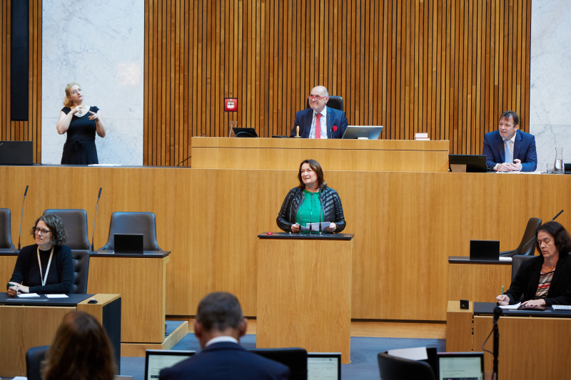 Am Rednerpult Nationalratsabgeordnete Petra Wimmer (SPÖ)