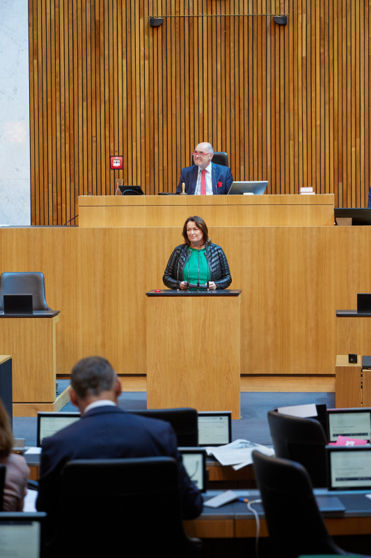 Am Rednerpult Nationalratsabgeordnete Petra Wimmer (SPÖ)