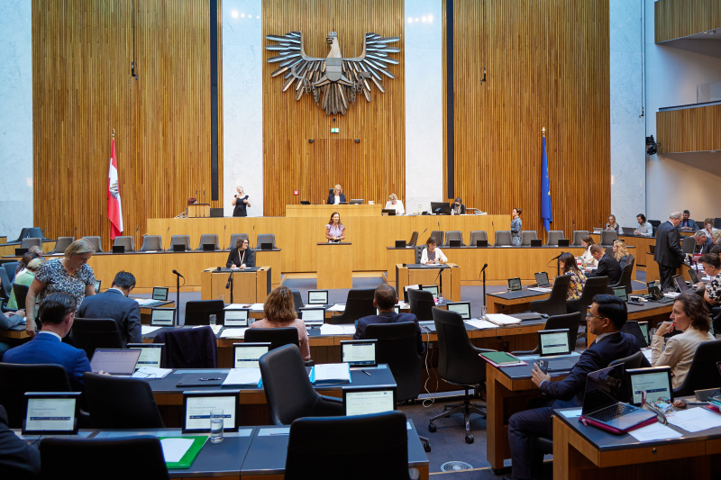 Am Rednerpult Nationalratsabgeordnete Susanne Fürst (FPÖ)