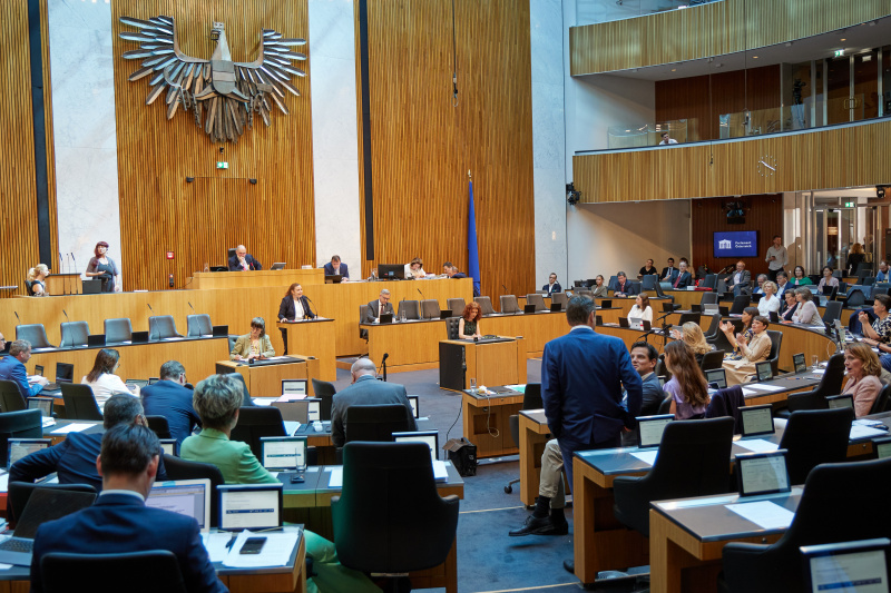 Am Rednerpult Nationalratsabgeordnete Nina Tomaselli (GRÜNE)