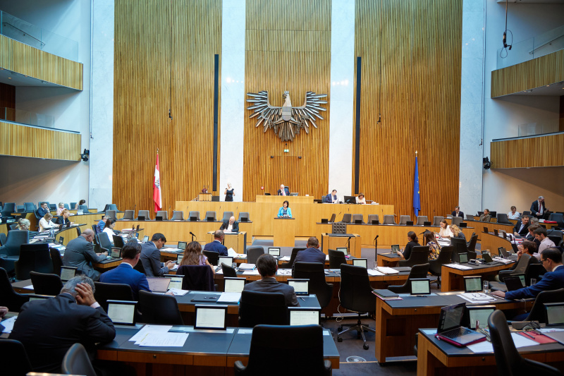 Am Rednerpult Nationalratsabgeordnete Rosa Ecker (FPÖ)