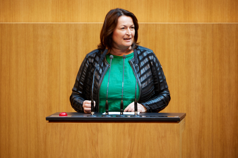 Am Rednerpult Nationalratsabgeordnete Petra Wimmer (SPÖ)