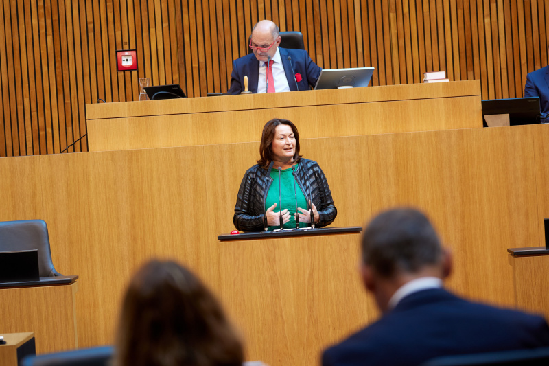 Am Rednerpult Nationalratsabgeordnete Petra Wimmer (SPÖ)