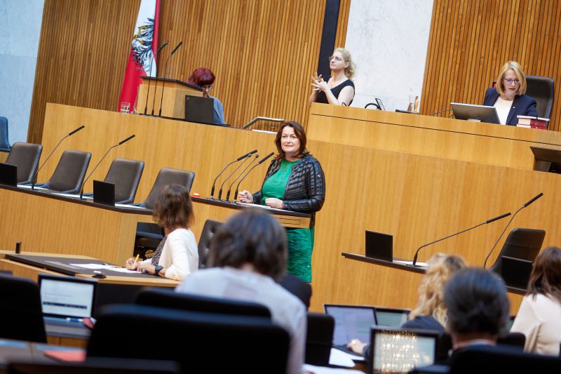 Am Rednerpult Nationalratsabgeordnete Petra Wimmer (SPÖ)