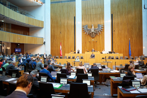 Blick ins Plenum. Am Rednerpult Nationalratsabgeordneter Christian Ries (FPÖ)
