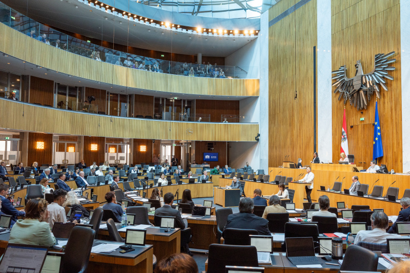 Blick Richtung Sitzungsteilnehmer:innen. Am Rednerpult Nationalratsabgeordneter Peter Wurm (FPÖ)