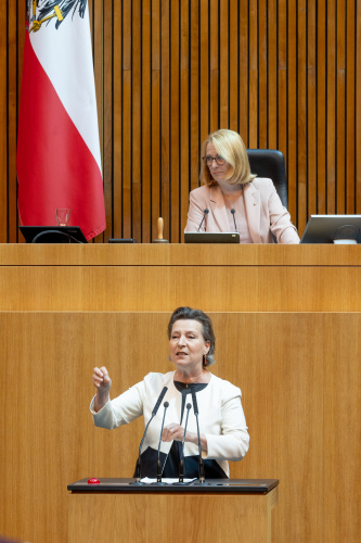 Am Rednerpult Nationalratsabgeordnete Gabriele Heinisch-Hosek (SPÖ)