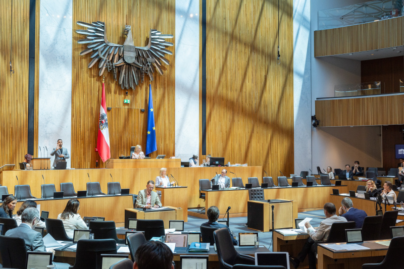 Am Rednerpult Nationalratsabgeordnete Verena Nussbaum (SPÖ)