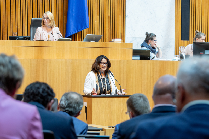 Am Rednerpult Nationalratsabgeordnete Elisabeth Scheucher-Pichler (ÖVP)