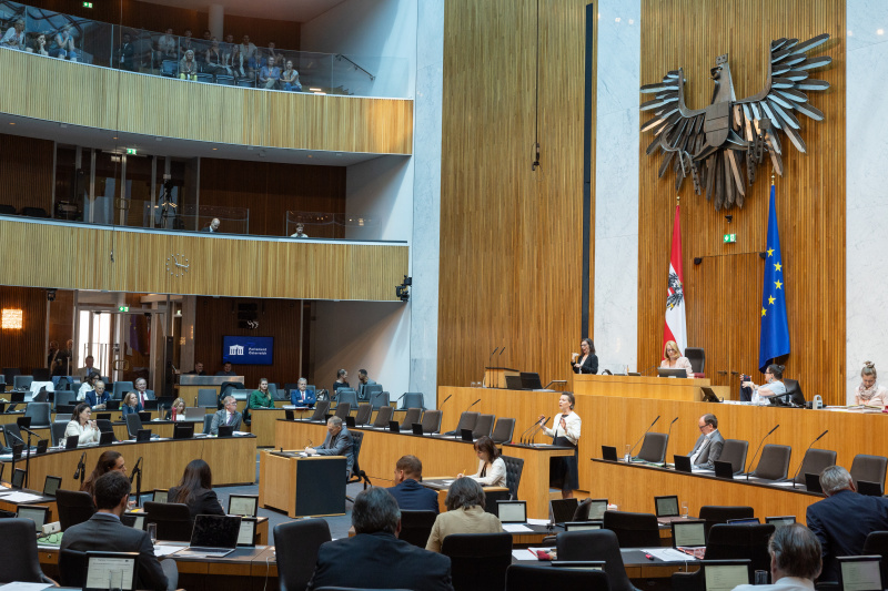Am Rednerpult Nationalratsabgeordnete Gabriele Heinisch-Hosek (SPÖ)