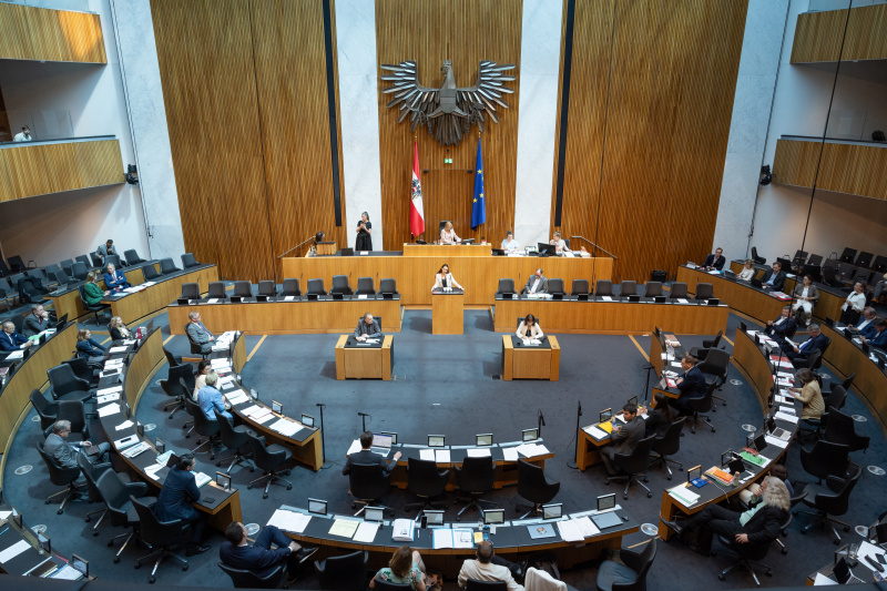 Am Rednerpult Nationalratsabgeordnete Barbara Neßler (GRÜNE)