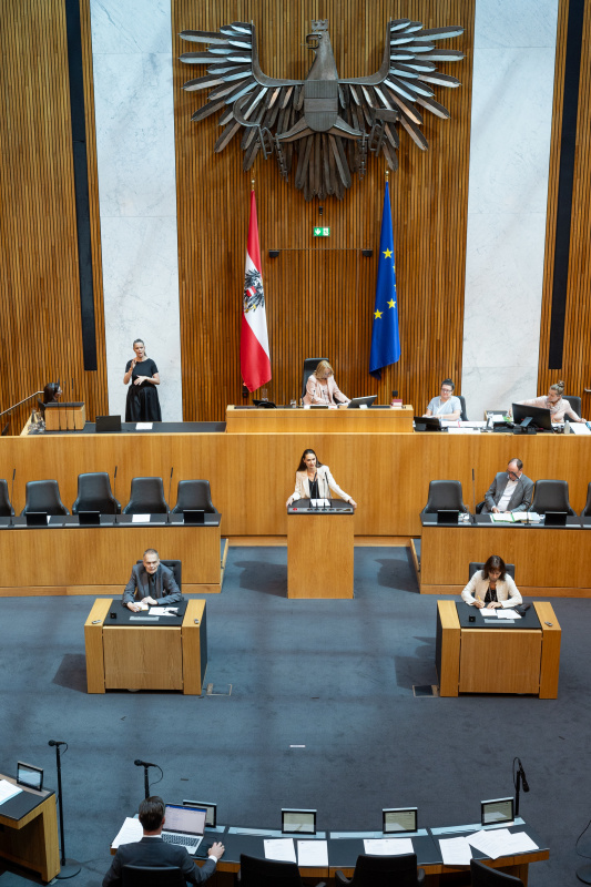 Am Rednerpult Nationalratsabgeordnete Barbara Neßler (GRÜNE)