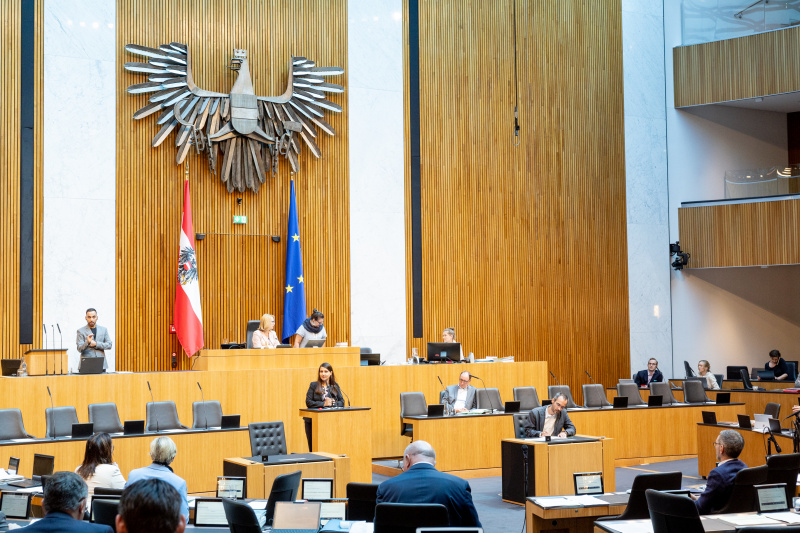 Am Rednerpult Nationalratsabgeordnete Meri Disoski (GRÜNE)