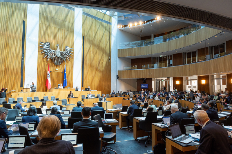 Am Rednerpult Nationalratsabgeordnete Meri Disoski (GRÜNE)