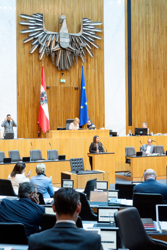 Am Rednerpult Nationalratsabgeordnete Meri Disoski (GRÜNE)