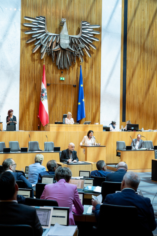 Am Rednerpult Nationalratsabgeordnete Elisabeth Pfurtscheller (ÖVP)