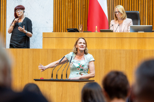 Am Rednerpult Nationalratsabgeordnete Dagmar Belakowitsch (FPÖ)