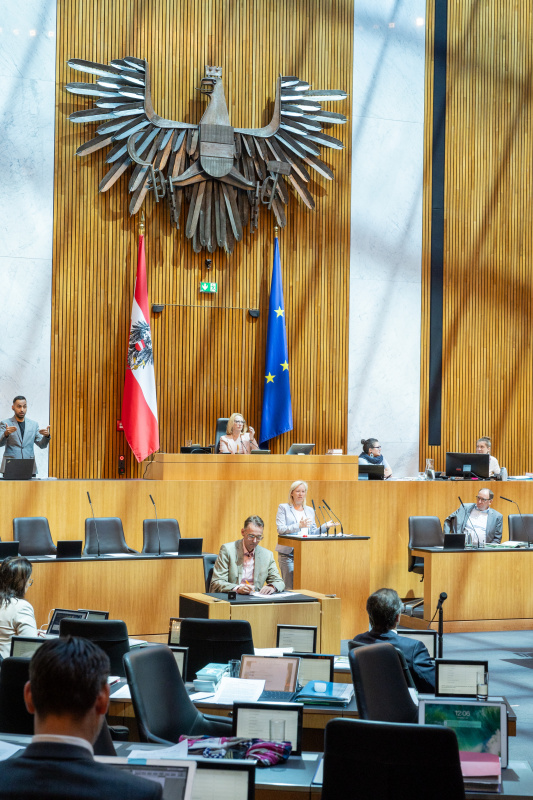 Am Rednerpult Nationalratsabgeordnete Verena Nussbaum (SPÖ)