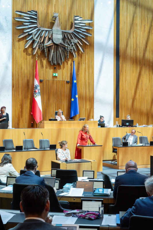 Am Rednerpult Nationalratsabgeordnete Fiona Fiedler (NEOS)