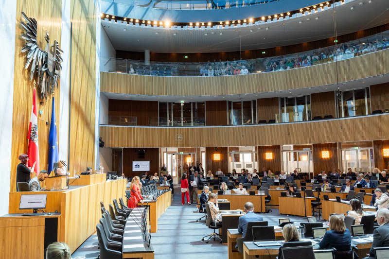 Am Rednerpult Nationalratsabgeordnete Fiona Fiedler (NEOS)