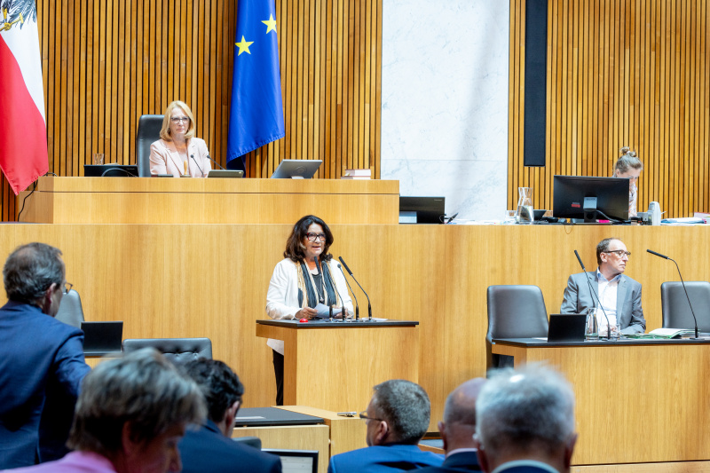 Am Rednerpult Nationalratsabgeordnete Elisabeth Scheucher-Pichler (ÖVP)