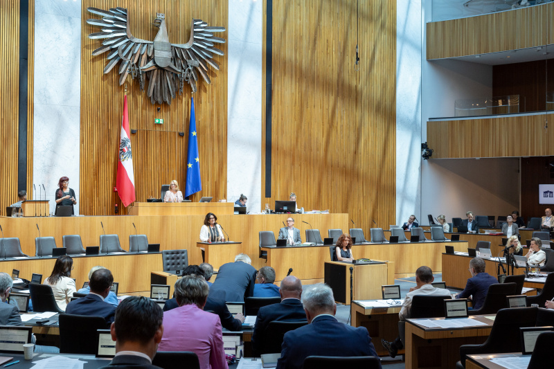 Am Rednerpult Nationalratsabgeordnete Elisabeth Scheucher-Pichler (ÖVP)