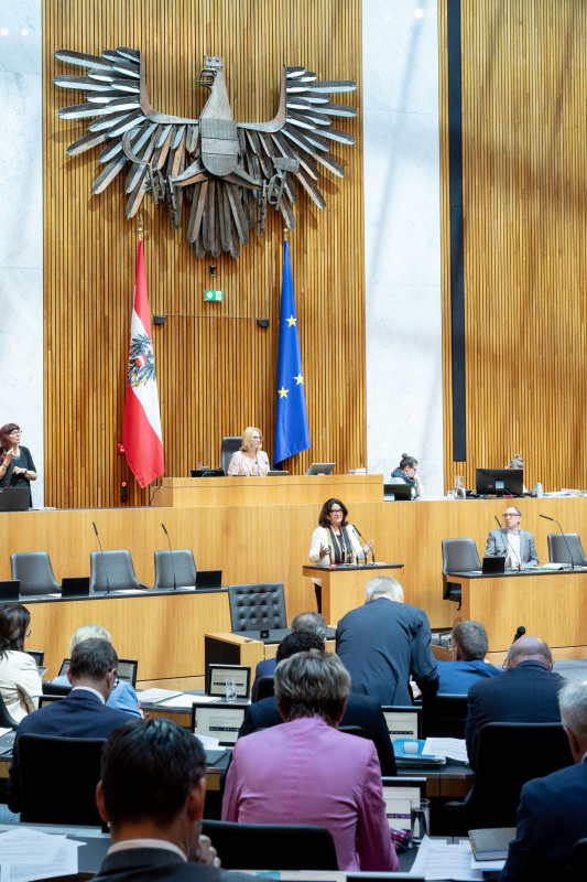 Am Rednerpult Nationalratsabgeordnete Elisabeth Scheucher-Pichler (ÖVP)