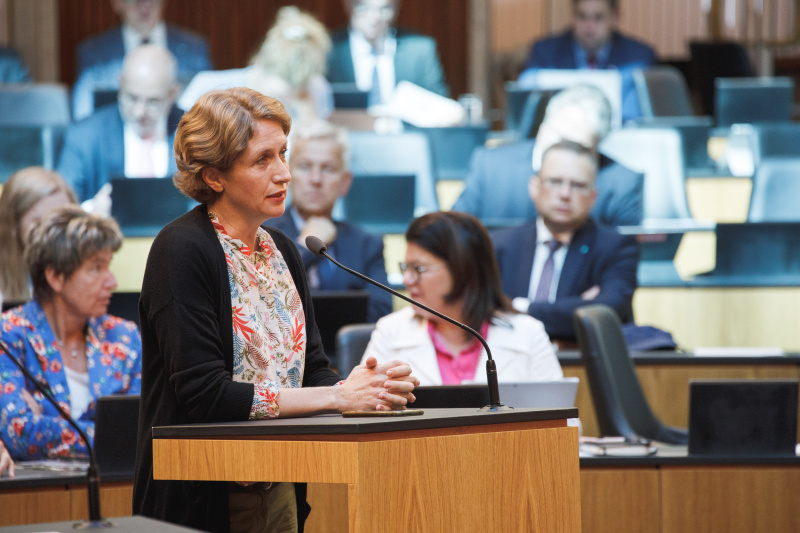 Fragestellung Nationalratsabgeordnete Stephanie Krisper (NEOS)