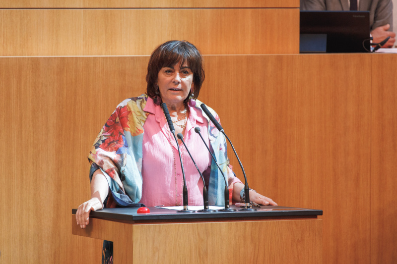 Am Rednerpult Nationalratsabgeordnete Petra Oberrauner (SPÖ)