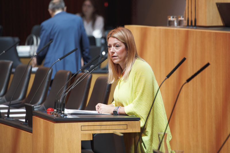 Am Rednerpult Nationalratsabgeordnete Katharina Kucharowits (SPÖ)