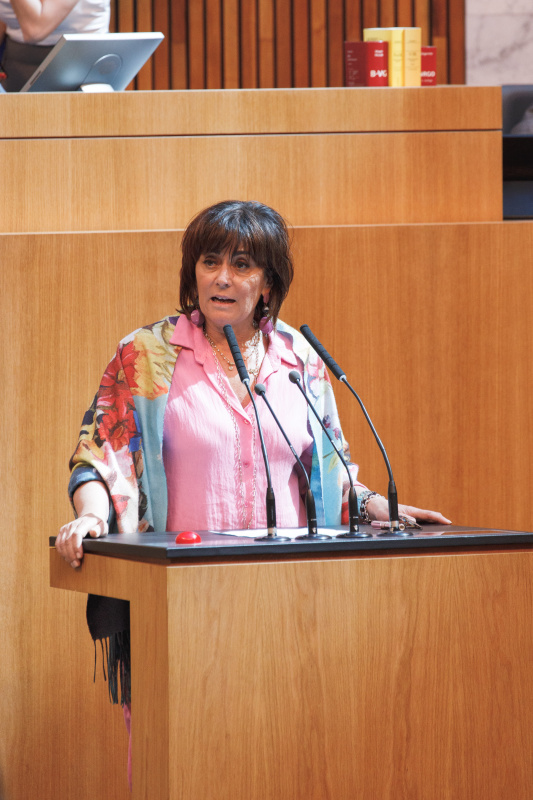 Am Rednerpult Nationalratsabgeordnete Petra Oberrauner (SPÖ)