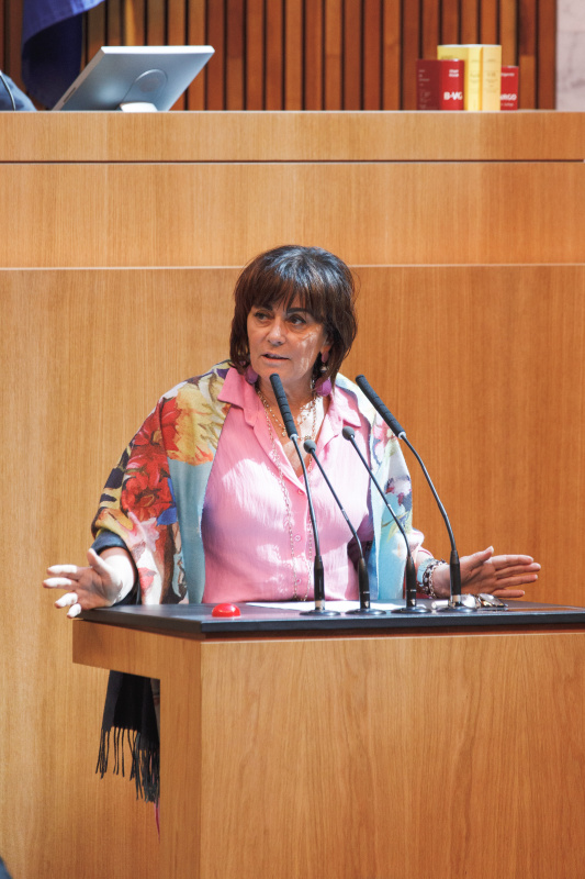 Am Rednerpult Nationalratsabgeordnete Petra Oberrauner (SPÖ)