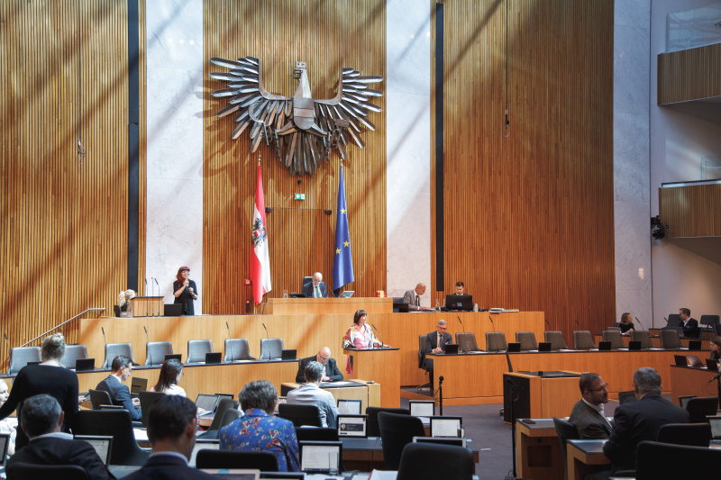 Am Rednerpult Nationalratsabgeordnete Petra Oberrauner (SPÖ)