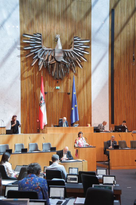 Am Rednerpult Nationalratsabgeordnete Petra Oberrauner (SPÖ)