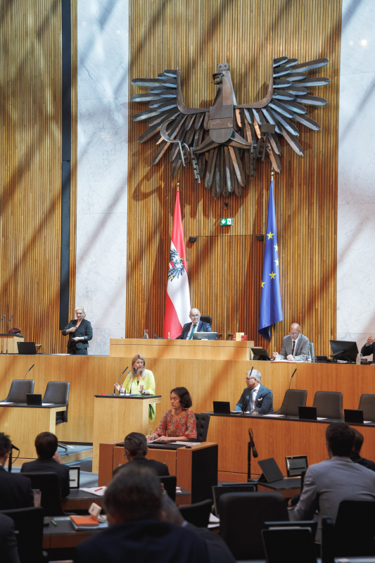 Am Rednerpult Nationalratsabgeordnete Katharina Kucharowits (SPÖ)