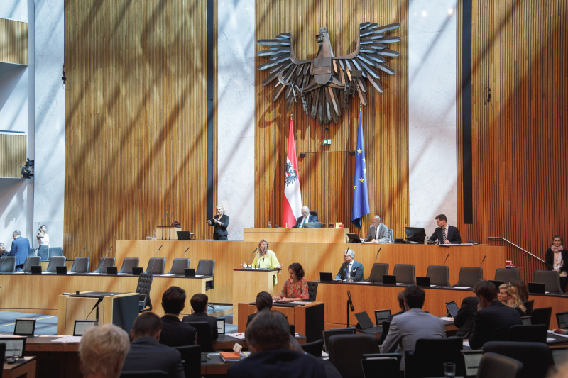 Am Rednerpult Nationalratsabgeordnete Katharina Kucharowits (SPÖ)