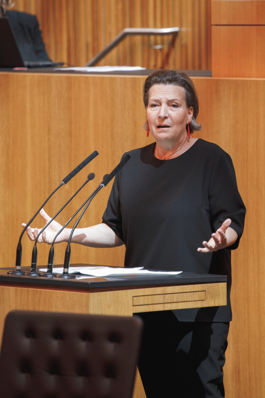 Am Rednerpult Nationalratsabgeordnete Gabriele Heinisch-Hosek (SPÖ)