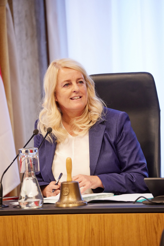 Bundesratspräsidentin Claudia Arpa (SPÖ)  am Präsidium