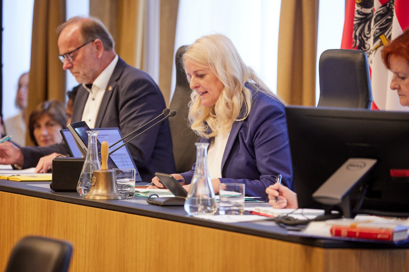 Bundesratspräsidentin Claudia Arpa (SPÖ)  am Präsidium