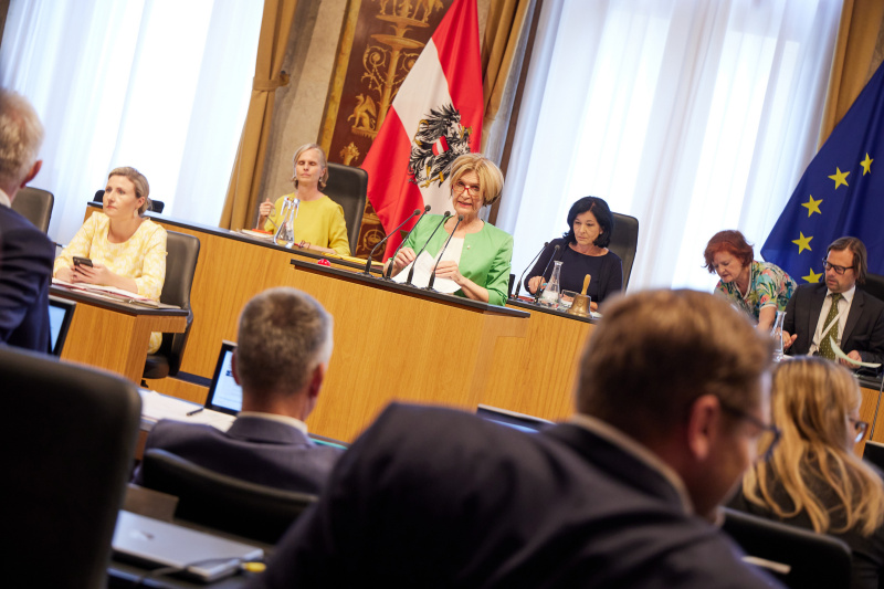 Am Rednerpult Bundesrätin Andrea Eder-Gitschthaler (ÖVP)