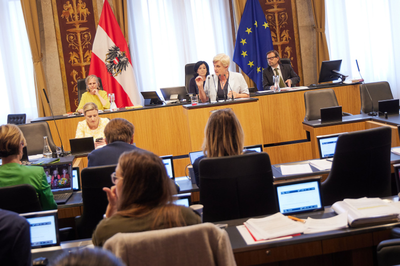 Am Rednerpult Bundesrätin Marlies Doppler (FPÖ)