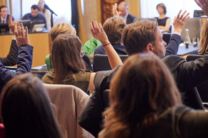 Abstimmung im Plenum