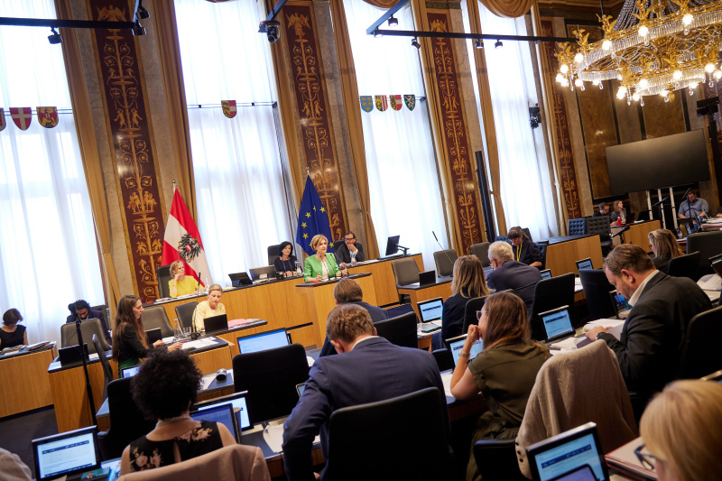 Am Rednerpult Bundesrätin Andrea Eder-Gitschthaler (ÖVP)