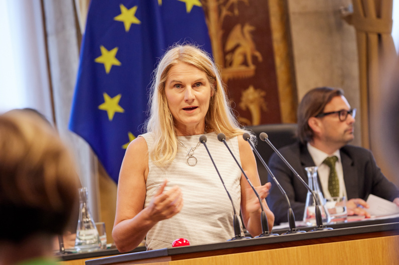Am Rednerpult Bundesrätin Elisabeth Grossmann (SPÖ)